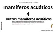 Outros mamíferos acuáticos (4)